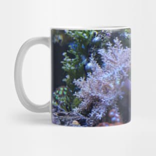 Coral Mug